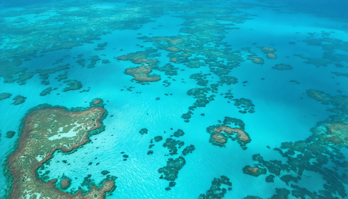 partez à la découverte des 10 joyaux incontournables d’australie, des paysages à couper le souffle aux trésors culturels uniques à explorer absolument.