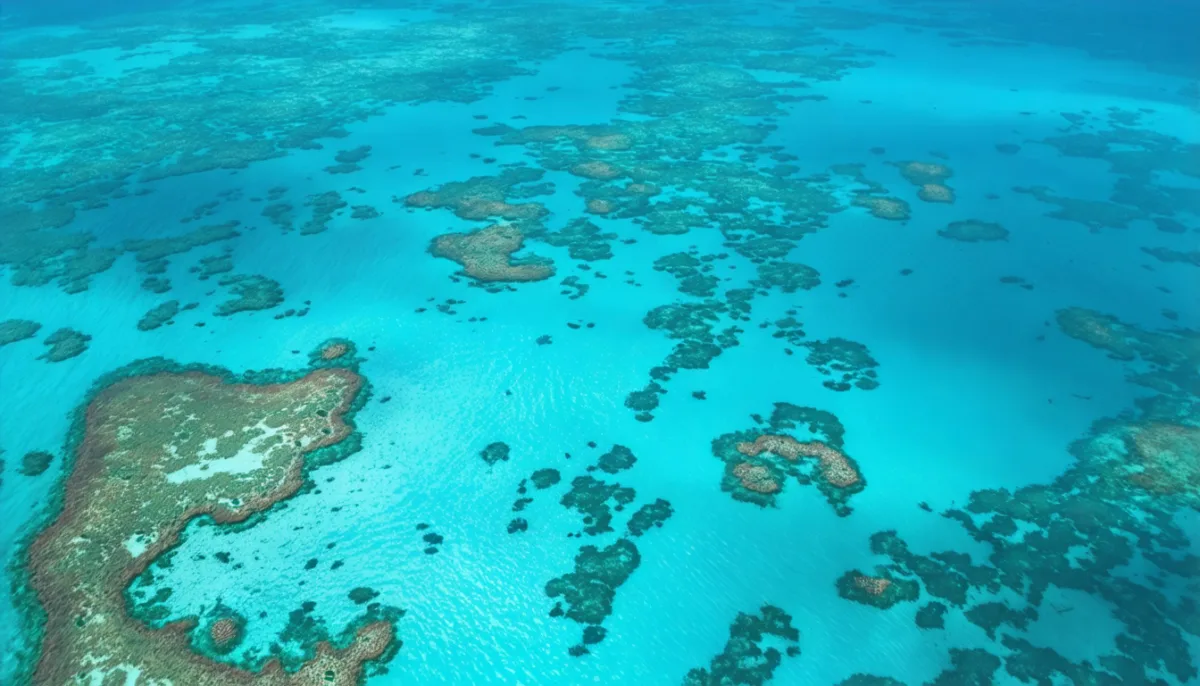 partez à la découverte des 10 joyaux incontournables d’australie, des paysages à couper le souffle aux trésors culturels uniques à explorer absolument.