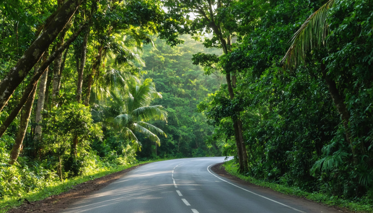 découvrez les 12 expériences incontournables à ocho rios en jamaïque, entre plages paradisiaques, cascades spectaculaires et aventures culturelles uniques.
